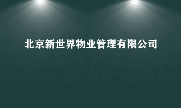 北京新世界物业管理有限公司