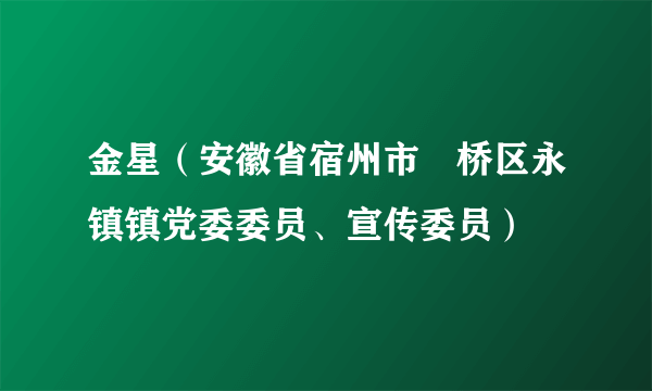 金星（安徽省宿州市埇桥区永镇镇党委委员、宣传委员）