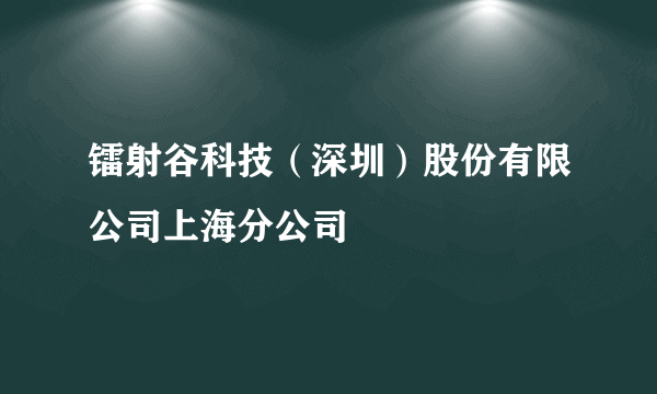 镭射谷科技（深圳）股份有限公司上海分公司