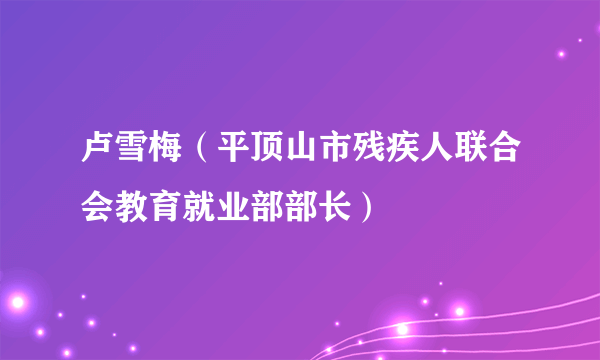 卢雪梅（平顶山市残疾人联合会教育就业部部长）