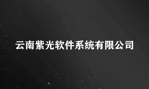 云南紫光软件系统有限公司