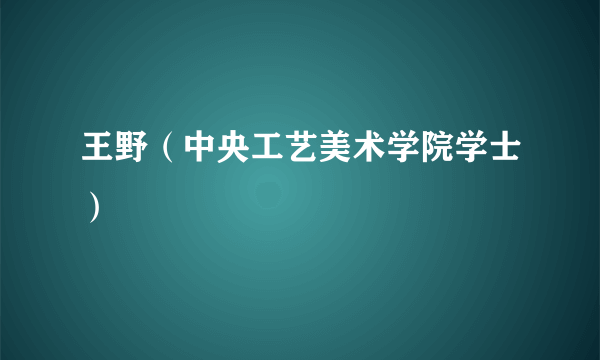 王野（中央工艺美术学院学士）