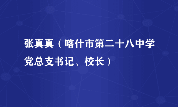 张真真（喀什市第二十八中学党总支书记、校长）