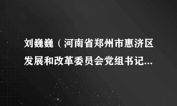 刘巍巍（河南省郑州市惠济区发展和改革委员会党组书记、主任）