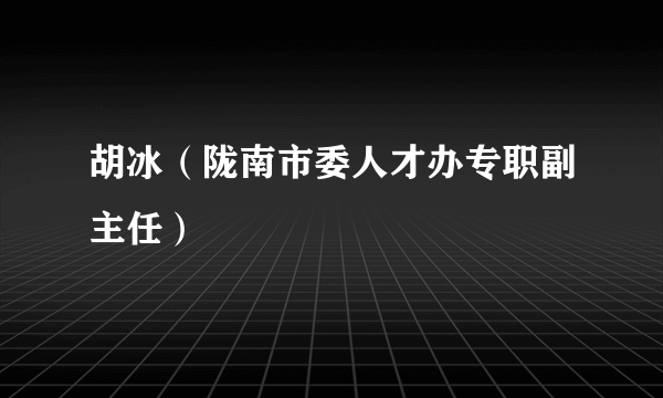 胡冰（陇南市委人才办专职副主任）