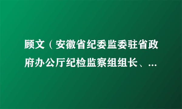 顾文（安徽省纪委监委驻省政府办公厅纪检监察组组长、省政府机关党组成员）