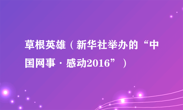 草根英雄（新华社举办的“中国网事·感动2016”）