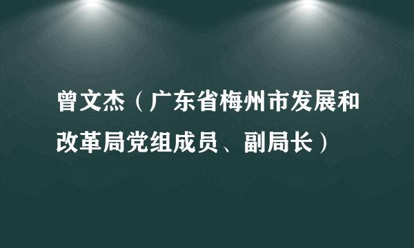 曾文杰（广东省梅州市发展和改革局党组成员、副局长）