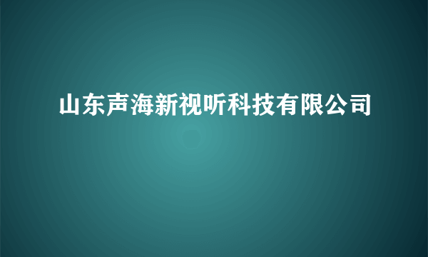 山东声海新视听科技有限公司