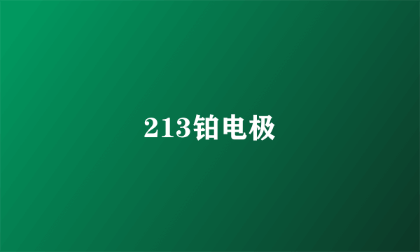 213铂电极