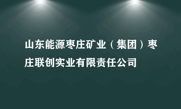 山东能源枣庄矿业（集团）枣庄联创实业有限责任公司