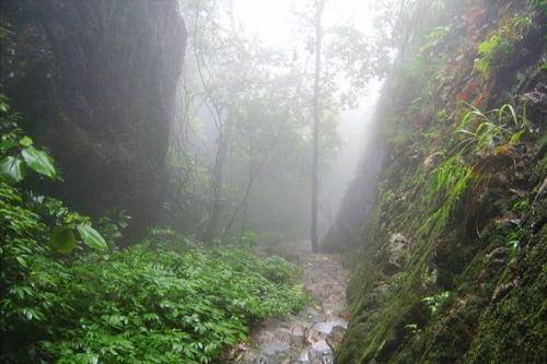 紫荆山景区