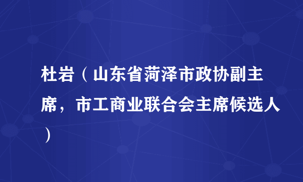 杜岩（山东省菏泽市政协副主席，市工商业联合会主席候选人）