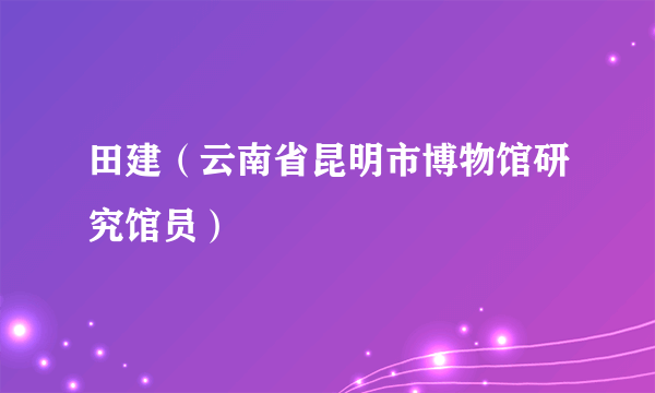 田建（云南省昆明市博物馆研究馆员）