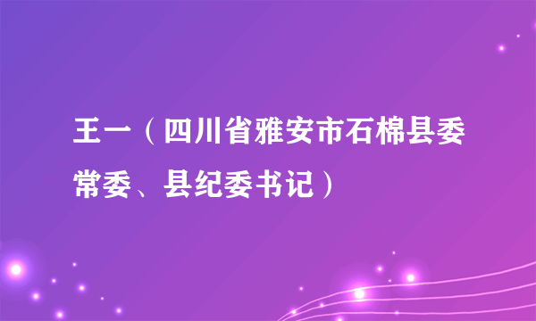 王一（四川省雅安市石棉县委常委、县纪委书记）