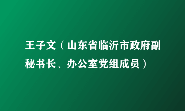 王子文（山东省临沂市政府副秘书长、办公室党组成员）