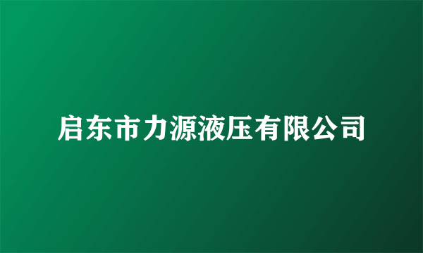 启东市力源液压有限公司