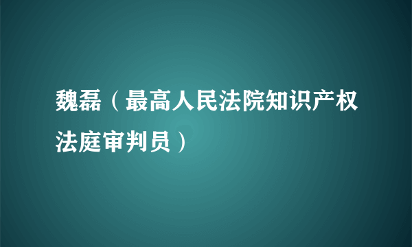 魏磊（最高人民法院知识产权法庭审判员）