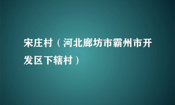 宋庄村（河北廊坊市霸州市开发区下辖村）