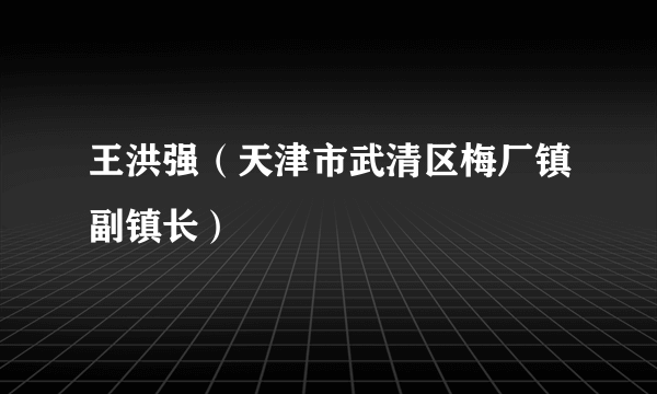 王洪强（天津市武清区梅厂镇副镇长）