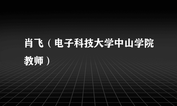 肖飞（电子科技大学中山学院教师）