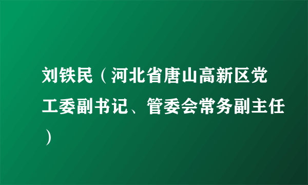 刘铁民（河北省唐山高新区党工委副书记、管委会常务副主任）