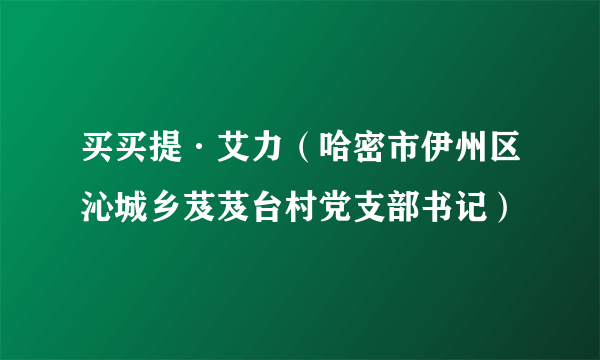 买买提·艾力（哈密市伊州区沁城乡芨芨台村党支部书记）