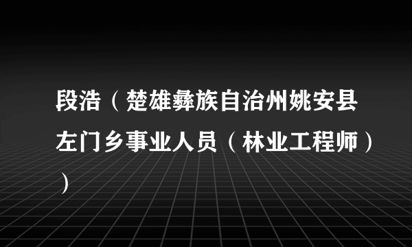 段浩（楚雄彝族自治州姚安县左门乡事业人员（林业工程师））