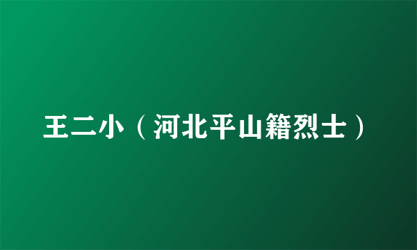 王二小（河北平山籍烈士）