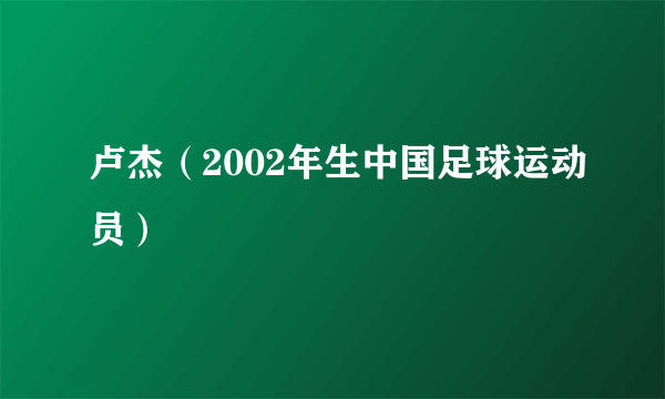 卢杰（2002年生中国足球运动员）