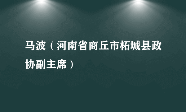 马波（河南省商丘市柘城县政协副主席）