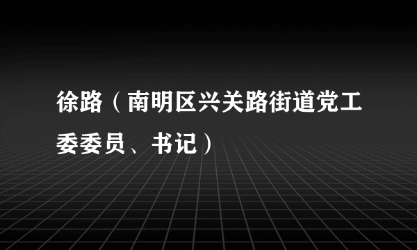 徐路（南明区兴关路街道党工委委员、书记）