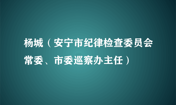 杨城（安宁市纪律检查委员会常委、市委巡察办主任）