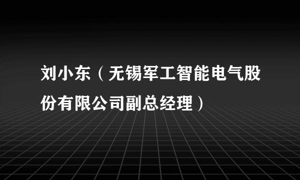 刘小东（无锡军工智能电气股份有限公司副总经理）