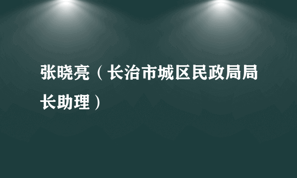 张晓亮（长治市城区民政局局长助理）