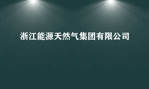 浙江能源天然气集团有限公司