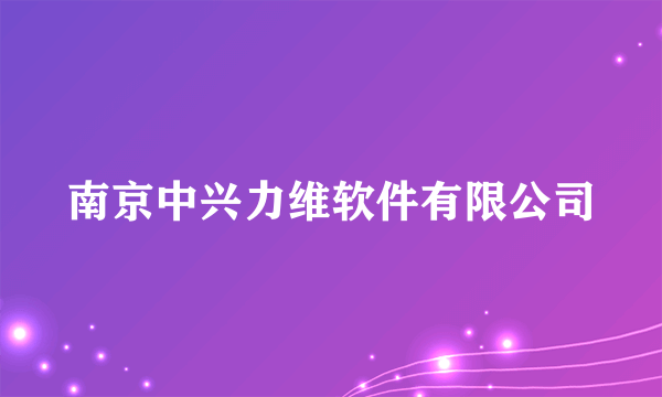 南京中兴力维软件有限公司