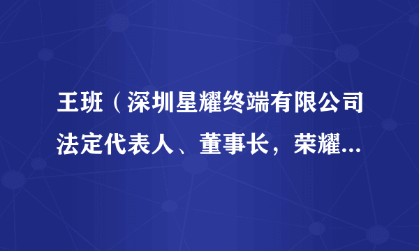 王班（深圳星耀终端有限公司法定代表人、董事长，荣耀机关与服务副总裁（海外及平台））