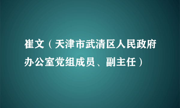 崔文（天津市武清区人民政府办公室党组成员、副主任）