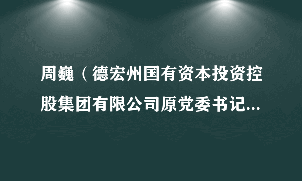 周巍（德宏州国有资本投资控股集团有限公司原党委书记、董事长）