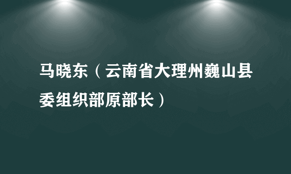 马晓东（云南省大理州巍山县委组织部原部长）