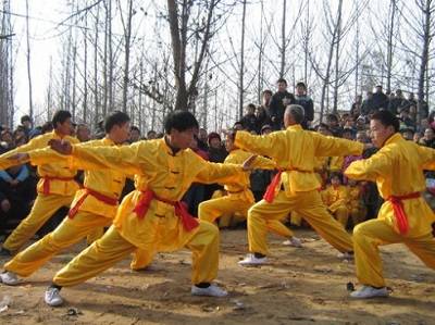 内黄梅花拳