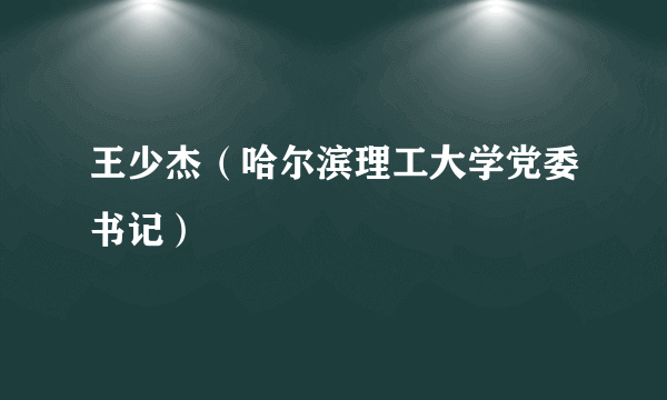 王少杰（哈尔滨理工大学党委书记）