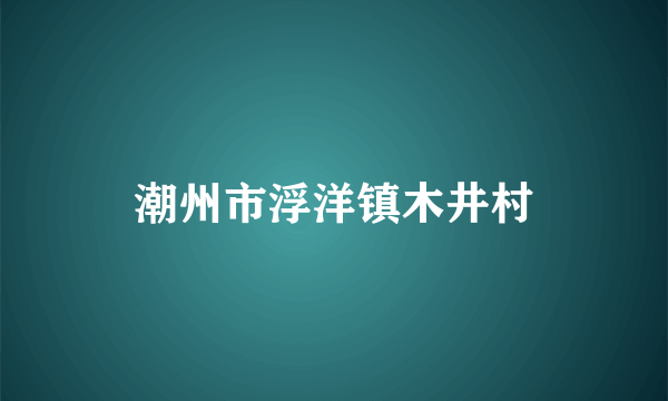 潮州市浮洋镇木井村