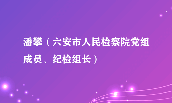 潘攀（六安市人民检察院党组成员、纪检组长）