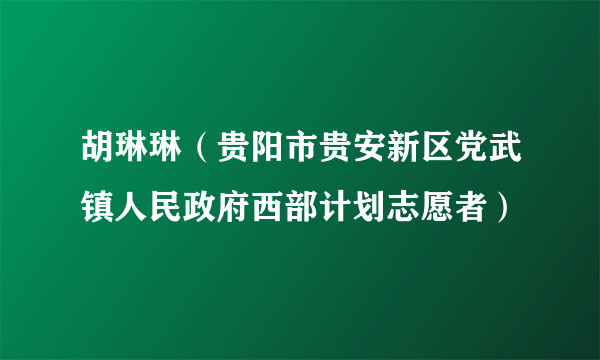 胡琳琳（贵阳市贵安新区党武镇人民政府西部计划志愿者）