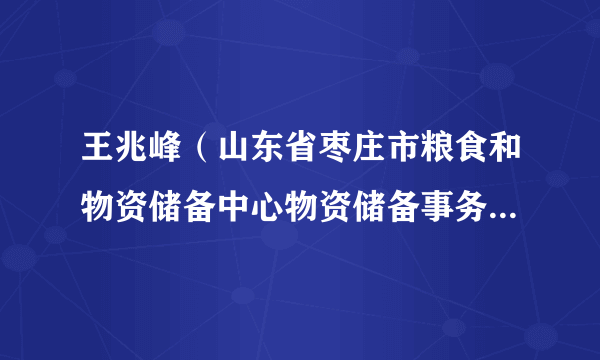 王兆峰（山东省枣庄市粮食和物资储备中心物资储备事务科副科长）