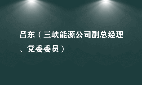 吕东（三峡能源公司副总经理、党委委员）