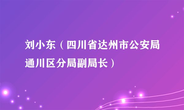 刘小东（四川省达州市公安局通川区分局副局长）