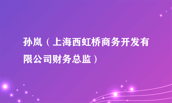 孙岚（上海西虹桥商务开发有限公司财务总监）